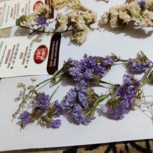 AIFAD Dried gypsum Resin gypsum, purple white