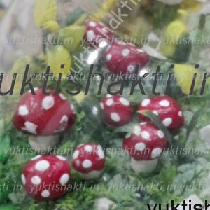 AIFAD Handmade Miniature Mini Mushrooms for Terrarium, for Show case, for shadow case, Memory Frame